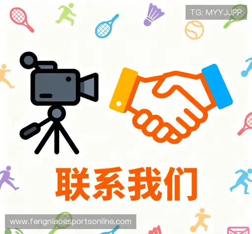 咨询定制